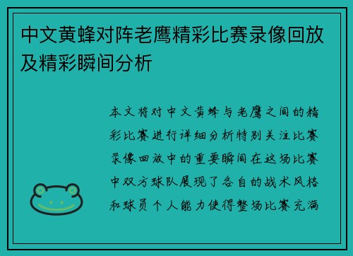 中文黄蜂对阵老鹰精彩比赛录像回放及精彩瞬间分析