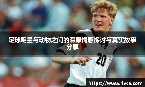 足球明星与动物之间的深厚情感探讨与真实故事分享
